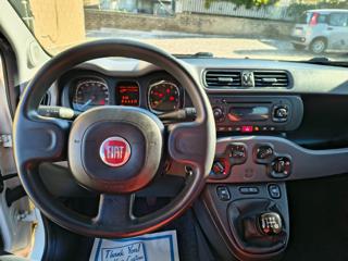 FIAT Panda usata, con Airbag testa