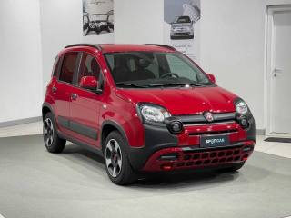 FIAT Panda Cross usata, con Controllo trazione