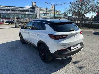 OPEL Grandland X usata, con Airbag testa