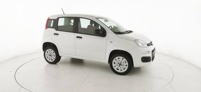 FIAT Panda usata 22