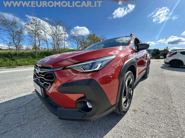 SUBARU Crosstrek usata 25