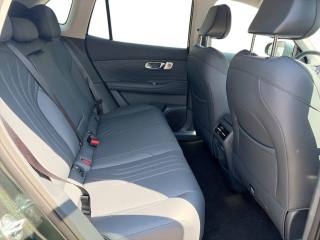 GEELY Starray EM-i usata 12