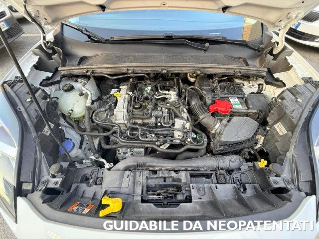 FORD Puma usata, con Regolazione elettrica sedili