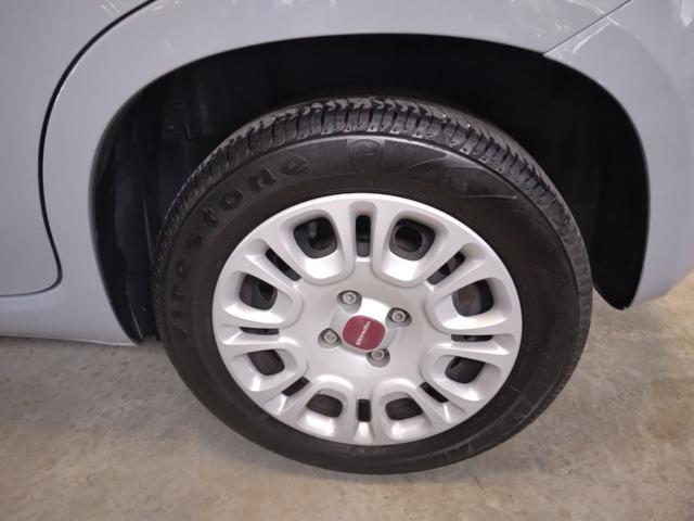 FIAT Panda usata 13