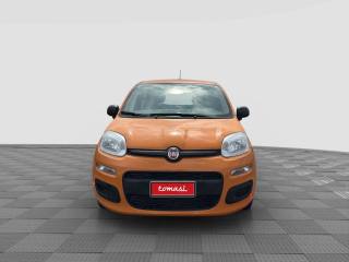 FIAT Panda usata 3