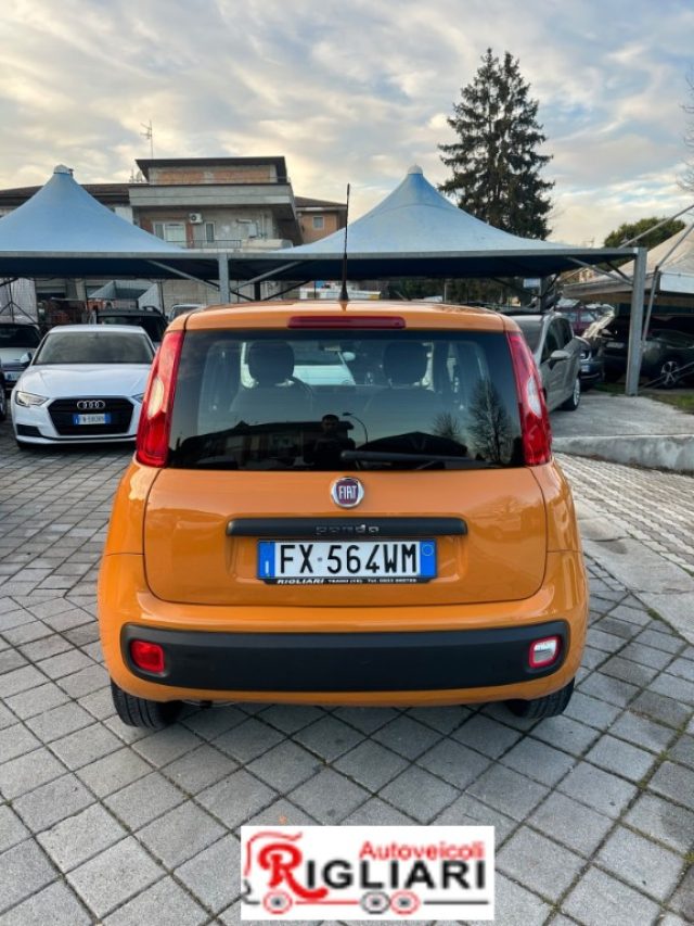 FIAT Panda usata 2