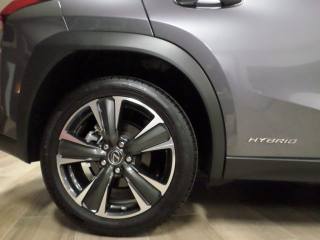 LEXUS UX 250h usata, con Interni in pelle