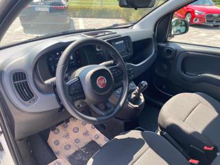 FIAT Panda usata, con Cruise Control