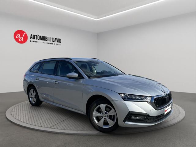 SKODA Octavia usata, con Airbag