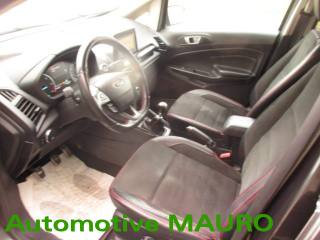 FORD EcoSport usata, con Fendinebbia