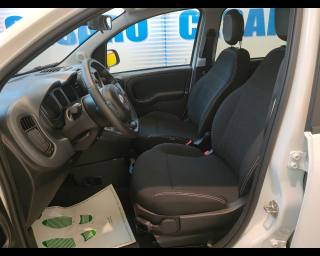 FIAT New Panda usata, con Vetri oscurati