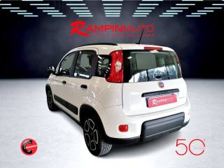 FIAT Panda usata 8