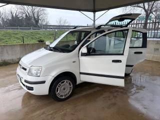 FIAT Panda usata 33