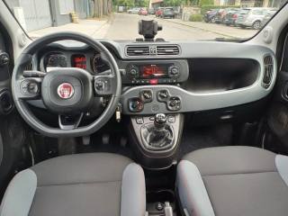 FIAT Panda usata, con Trazione integrale