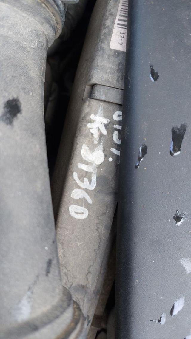 VOLKSWAGEN New Beetle usata 19