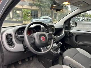 FIAT Panda usata, con Alzacristalli elettrici