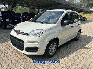 FIAT Panda usata, con Servosterzo