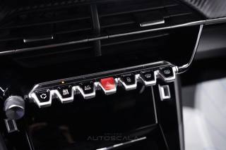 PEUGEOT 2008 usata, con Volante in pelle