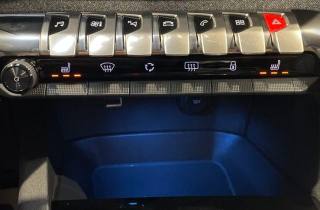PEUGEOT 5008 usata, con Servosterzo
