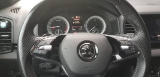 SKODA Karoq usata, con Cronologia tagliandi