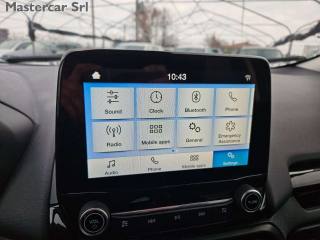 FORD EcoSport usata, con Fendinebbia