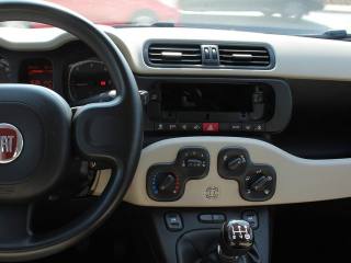 FIAT Panda usata, con Luce d