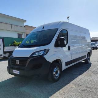 FIAT  usata 6