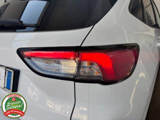 FORD Kuga usata, con Fendinebbia