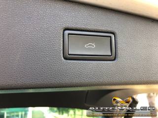VOLKSWAGEN Tiguan usata, con Cruise Control
