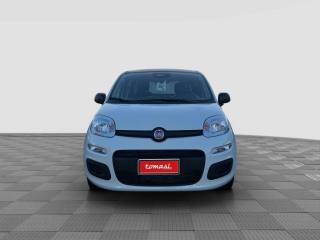 FIAT Panda usata 5