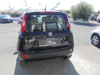 FIAT Panda usata, con Chiusura centralizzata