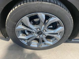 FORD Focus usata, con Volante in pelle