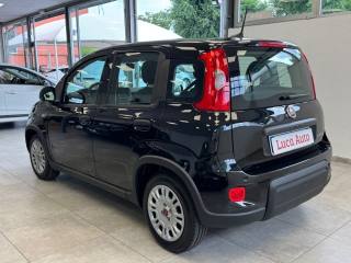 FIAT Panda usata, con Chiusura centralizzata