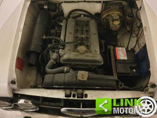 ALFA ROMEO Giulia usata 14