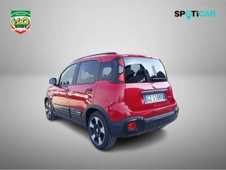 FIAT Panda Cross usata 19