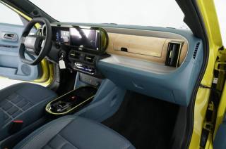 FIAT Grande Panda usata, con Bracciolo