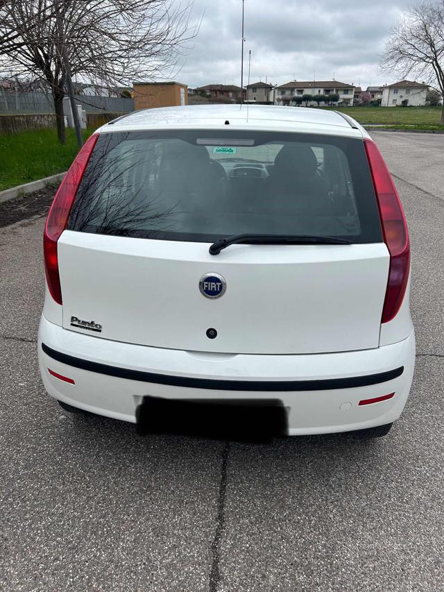 FIAT Punto usata 1