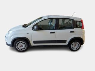 FIAT Panda usata, con Airbag Passeggero