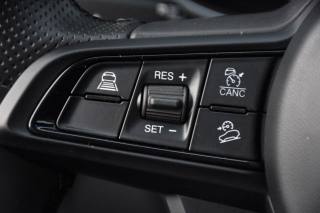 ALFA ROMEO Stelvio usata, con Volante in pelle