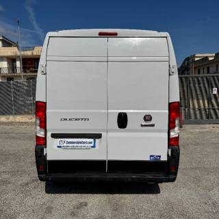 FIAT  usata 3