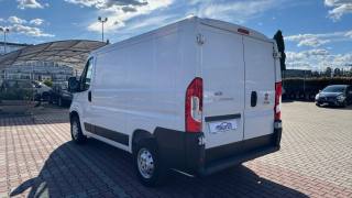 FIAT Ducato usata, con Fendinebbia