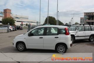 FIAT New Panda usata, con Airbag testa