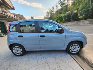 FIAT Panda usata, con Boardcomputer