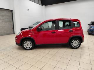 FIAT Panda usata, con Immobilizzatore elettronico