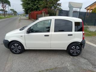 FIAT Panda usata 6