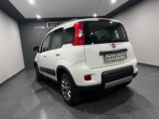 FIAT Panda usata, con Alzacristalli elettrici