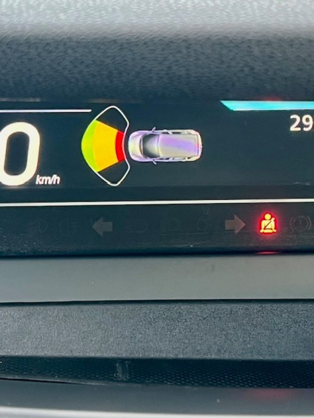 RENAULT Scenic usata, con Volante multifunzione