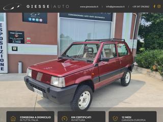 FIAT Panda usata, con Trazione integrale
