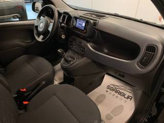 FIAT Panda usata, con USB