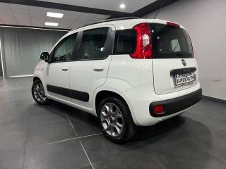FIAT Panda usata, con Airbag Passeggero